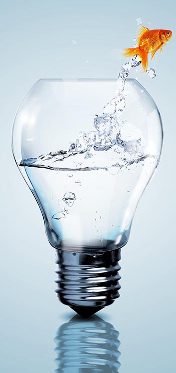 Goldfish Lightbulb